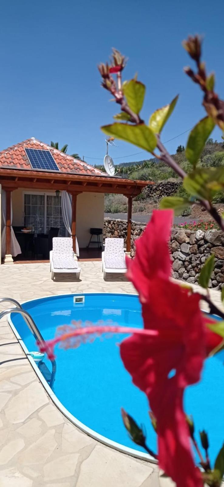 Finca Alexa Arecida Kültér fotó